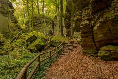 Spaziergang entlang der Felsformationen in Echternach und Berdorf: Alle Infos & Top-Sehenswürdigkeiten plus Fotos