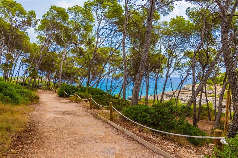 Wanderweg im Wald des Parc natural de Mondragó, Mallorca