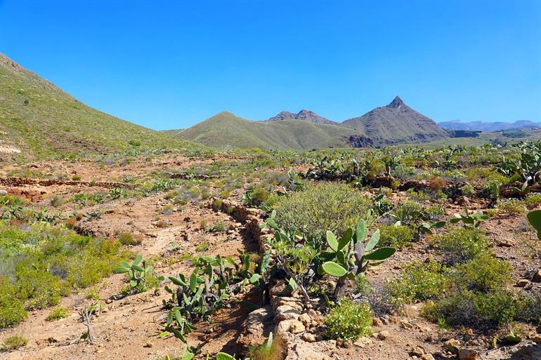 Wanderweg zum Roque del Conde