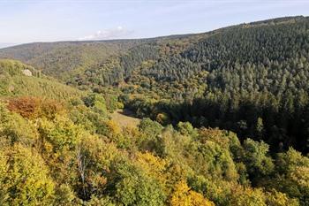 Wanderweg Ninglinspo