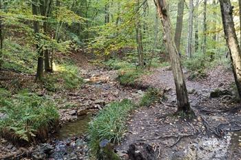 Wanderweg Ninglinspo