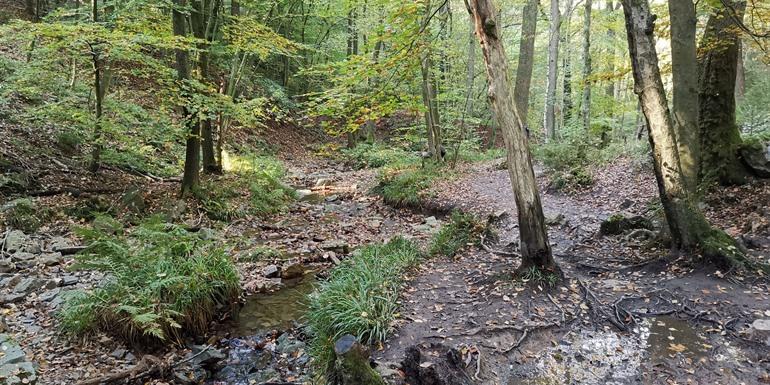 Wanderweg Ninglinspo