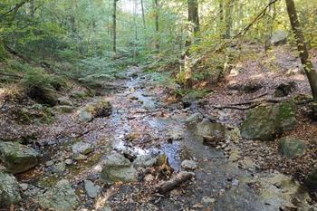 Wanderweg Ninglinspo