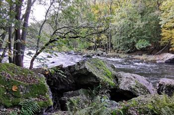 Wanderweg Quarreux