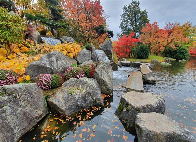 Wasserfall im Japanischen Garten