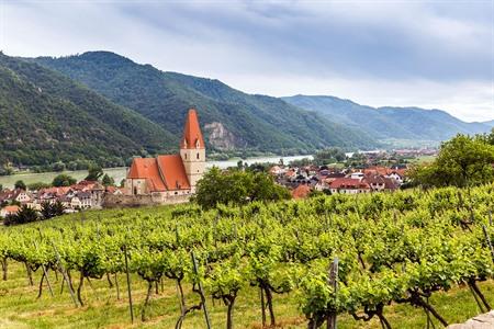 Weißenkirchen in der Wachau mit den Weinbergen, Österreich