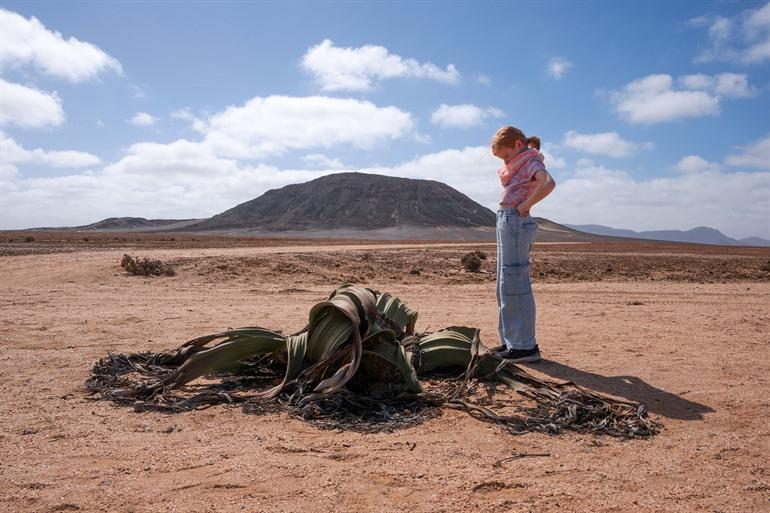 Welwitschia Drive in der Nähe von Swakopmund