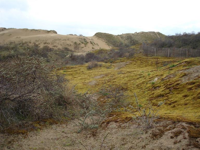 Westhoekreservat in De Panne