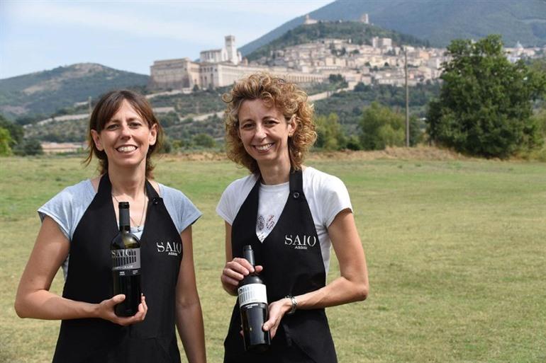 Weinverkostungen und Führungen in Assisi