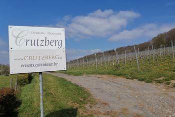 Weingut Crutzberg, Voeren