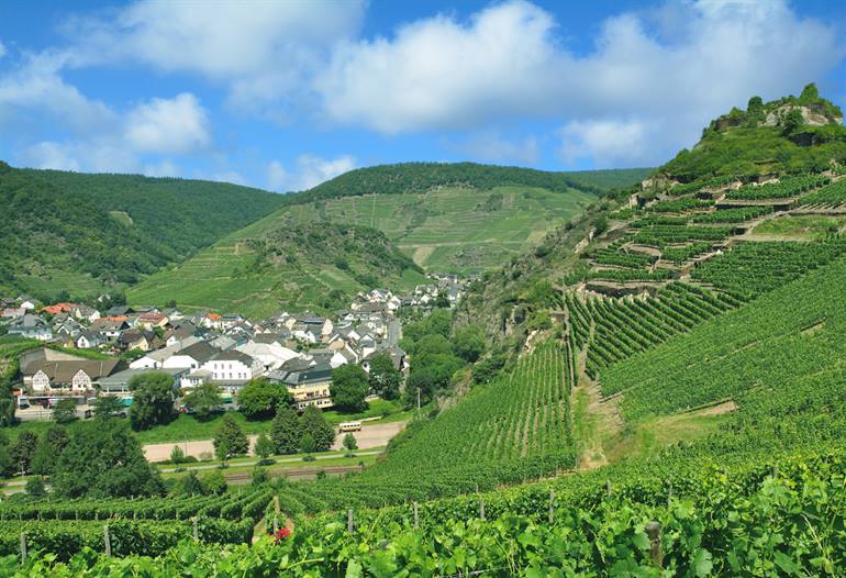 Weingut Bad Neuenahr
