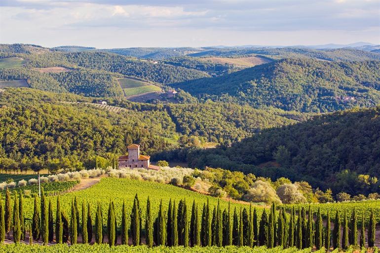 Weingüter Castello di Albola, Chianti-Gebiet