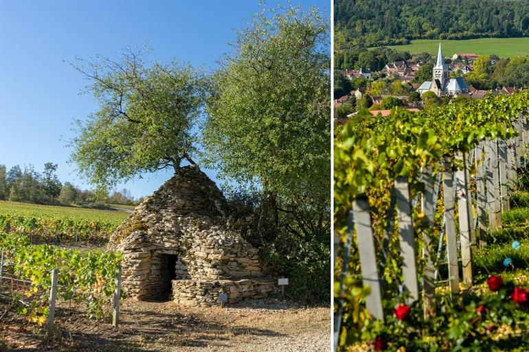 Weinberge von Les Riceys, Champagne-Region