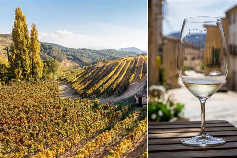 Weinberge im Priorat, Katalonien