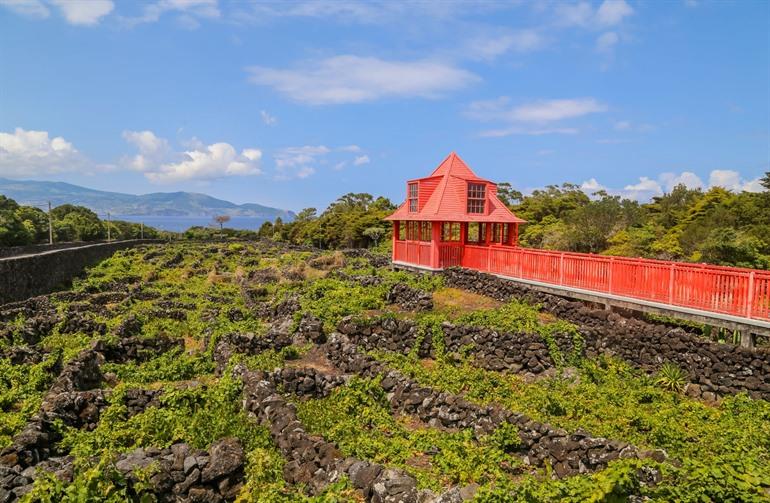 Weinmuseum auf der Insel Pico