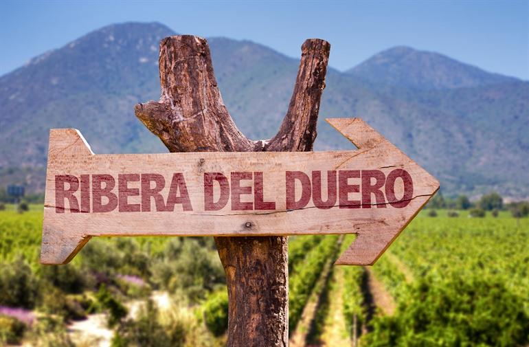 Weinverkostung in Ribera del Duero ab Valladolid buchen