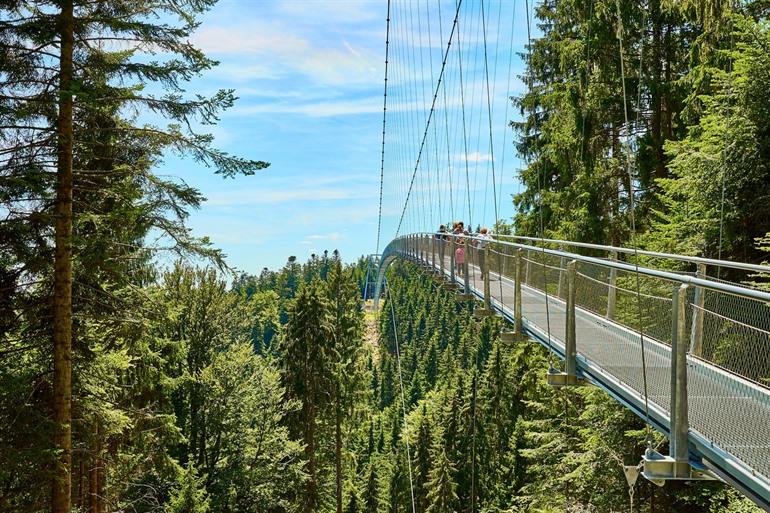 Wildline Hängebrücke in Deutschland