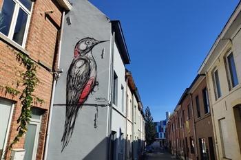 Specht von Dzia, Street-Art-Route Kessel-Lo