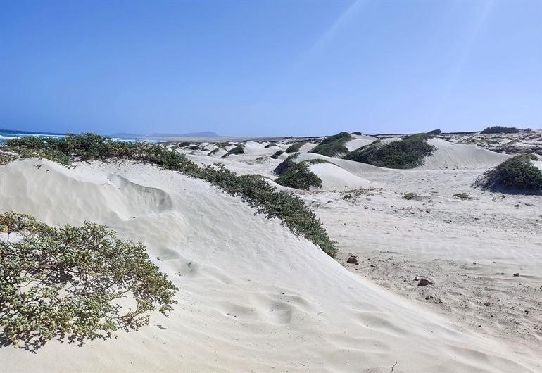 Sanddünen beim Cabo Santa Maria Schiffswrack, Boa Vista