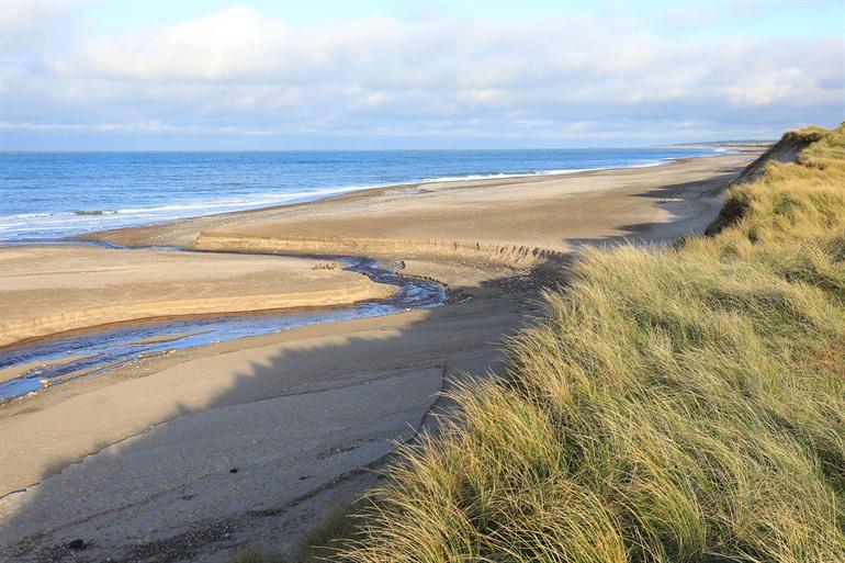 Sandstrände und Dünen im Thy Nationalpark, Dänemark