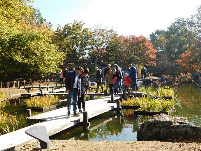 Zickzackbrücke im Japanischen Garten