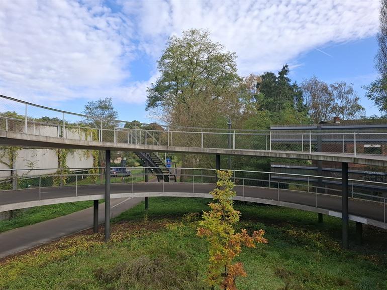 Zoé Borluutbrücke