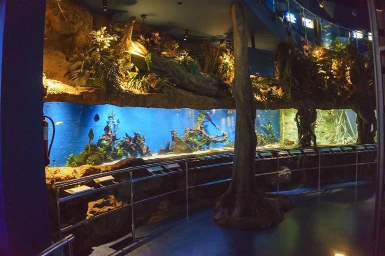 Zoo und Aquarium von Barcelona