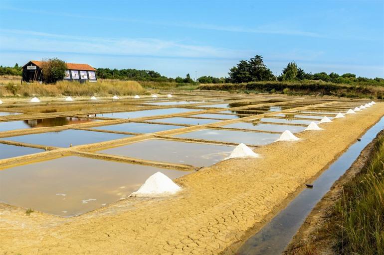 Salzmoore der Île d'Oléron