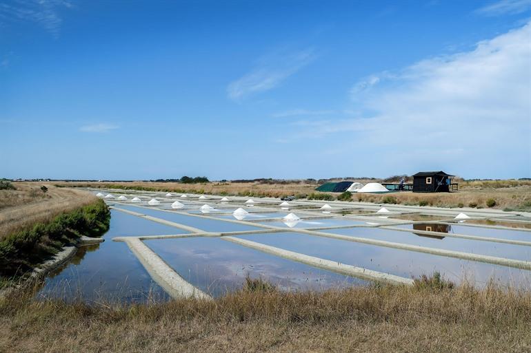Salzmoore von Noirmoutier, Frankreich