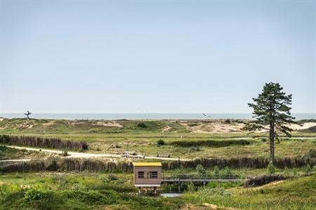 Das Zwin Naturpark in Knokke-Heist besuchen? Alle Infos + Fotos