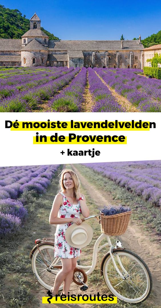 Pinterest Die schönsten Lavendelfelder in der Provence plus Karte mit den besten Standorten
