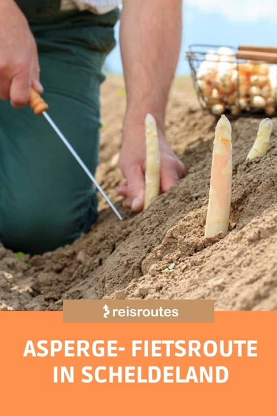 Pinterest Aspergeroute Fahrradroute in Scheldeland