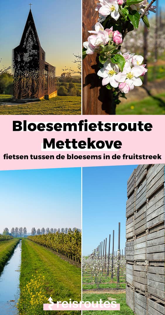 Pinterest Blüten-Fahrradroute: Radfahren zwischen den Blüten in der Obstregion