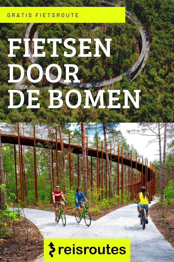 Pinterest Radfahren durch die Bäume: Fahrradtour Neerpelt, Bosland & Limburgische Kempen