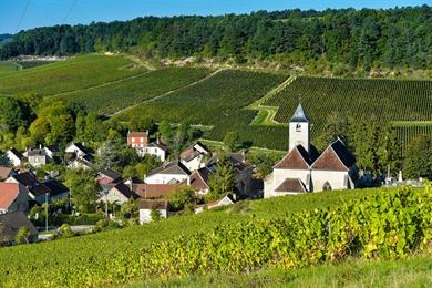 Champagnerbesichtigung? 3-tägige Rundreise durch Troyes, Aube und die Champagne