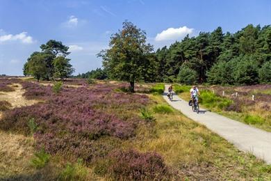 Arnhem Nijmegen: Fahrrad- und Autostrecke Gelderland