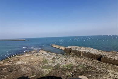 Spaziergang Sentier du Parcours Impériale in Boulogne-sur-Mer