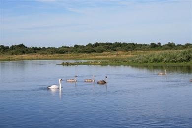 Bucht der Somme, geplante Autotour: Küste und Naturparks