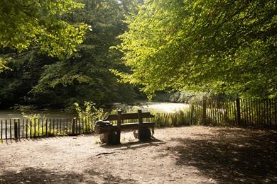 Wanderung Buggenhoutbos (8 km): Naturerlebnis zu Fuß