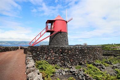 Wanderung auf dem Criação Velha-Pfad entlang der Weinberge auf der Insel Pico