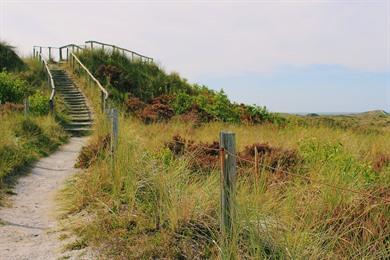 Duinheidewanderung (12 km) durch das Naturschutzgebiet in der Nähe von Alkmaar