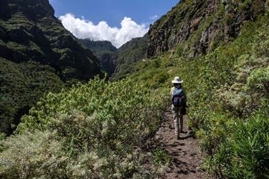 Spazieren Sie zum El Rosario und zum Barranco de Ruiz.