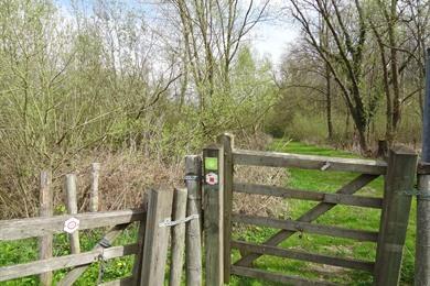 Ename Waldwanderweg