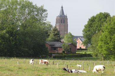 Fahrradfahren in Peer, auf der Suche nach Bruegel