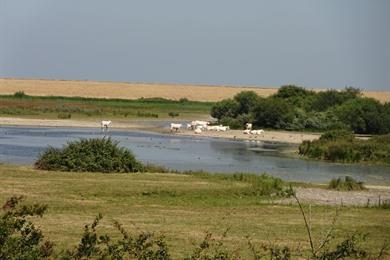 Fahrradroute von Zierikzee zum Watersnoodmuseum, Rundfahrt durch Schouwen und Duiveland im Osten