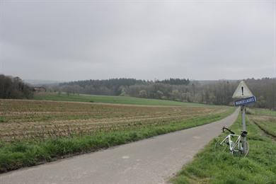 Fahrradroute durch den Hallerbos: Radeln Sie entlang der lila Buschhyazinthen