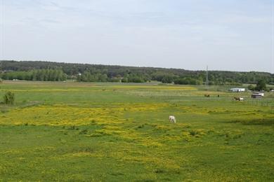 Fahrradtour durch das Demer-Tal rund um Aarschot