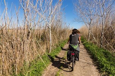 Fahrradtour von dem Badeort Alcúdia nach Sineu