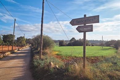 Radeln Sie die Ruta Arqueològica Sencelles - Costitx entlang