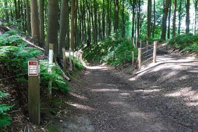 Spaziergang im Musikwald Louise-Marie in den Vlaamse Ardennen + Karte